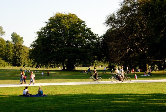 Rencontres sociales dans un parc